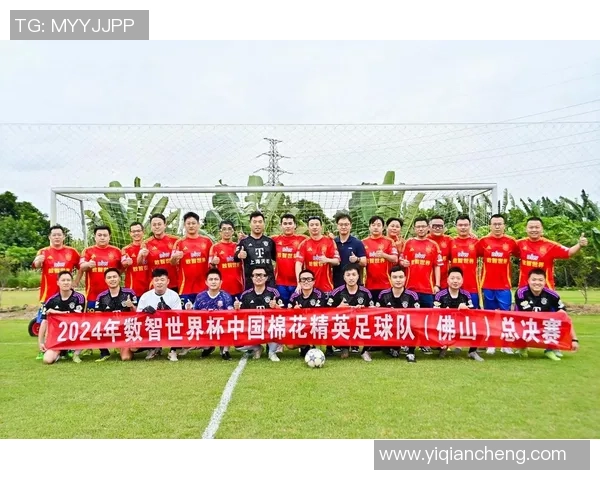 南京足球队逆袭之路：精英赛特别报道见证辉煌时刻与团队精神