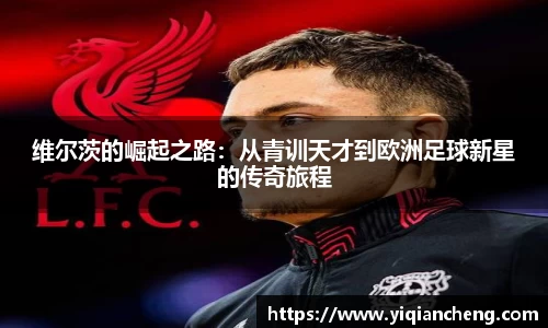 雷竞技